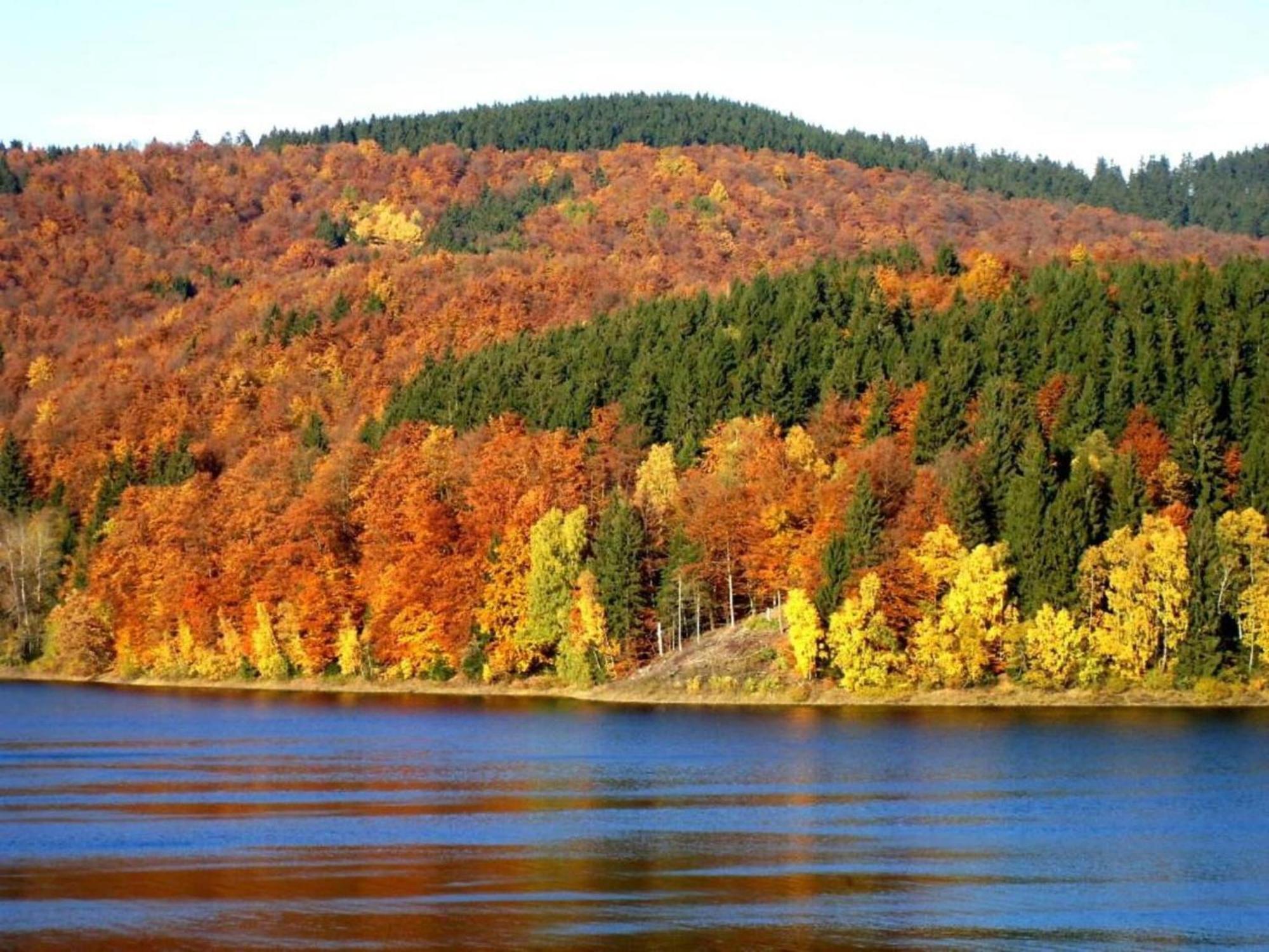 Detached Holiday Residence In The Wonderfully Beautiful Harz Kamschlacken Eksteriør bilde