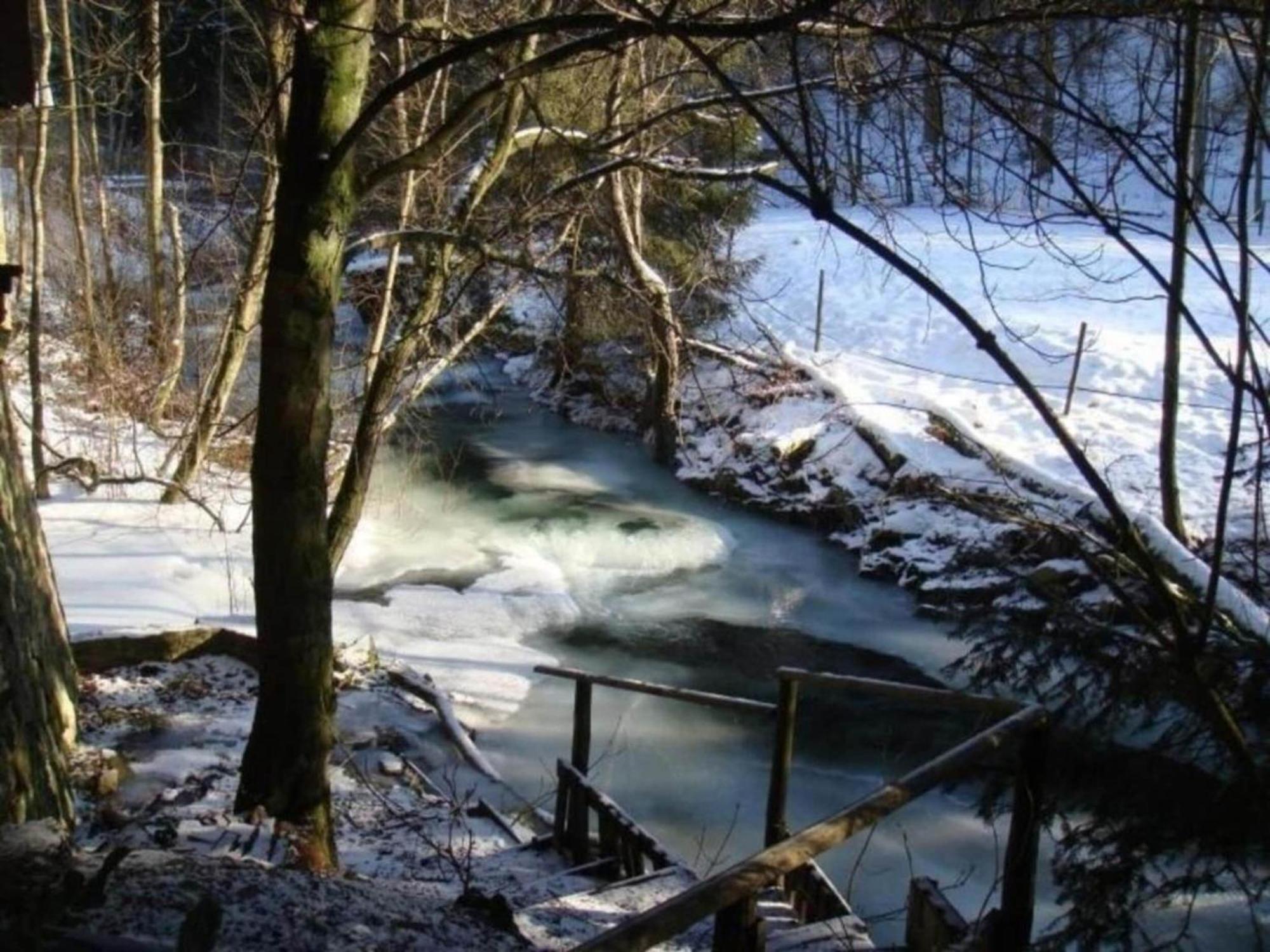 Detached Holiday Residence In The Wonderfully Beautiful Harz Kamschlacken Eksteriør bilde