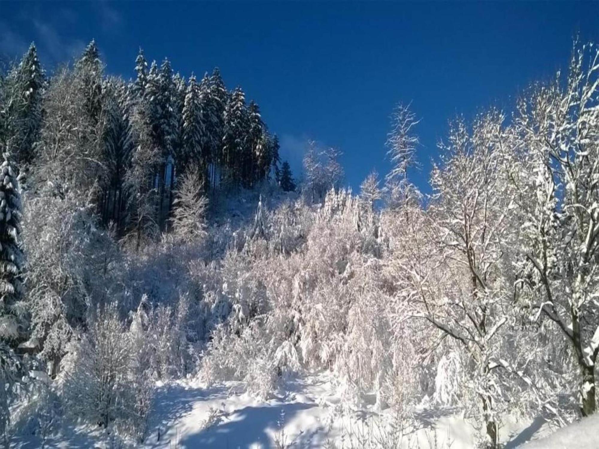 Detached Holiday Residence In The Wonderfully Beautiful Harz Kamschlacken Eksteriør bilde