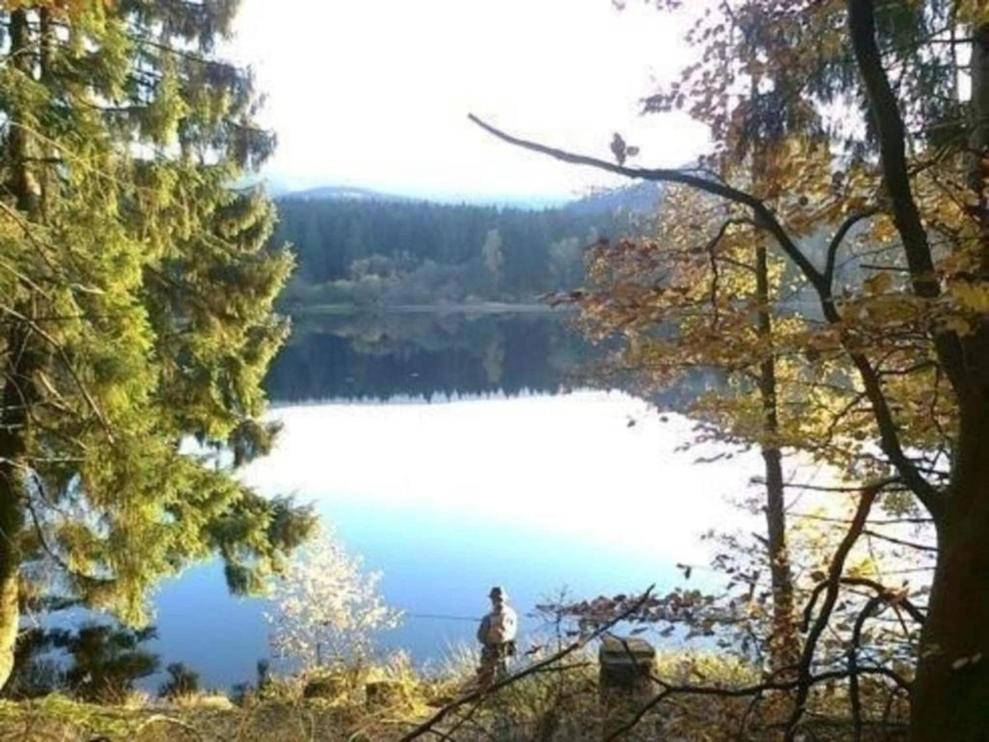 Detached Holiday Residence In The Wonderfully Beautiful Harz Kamschlacken Eksteriør bilde